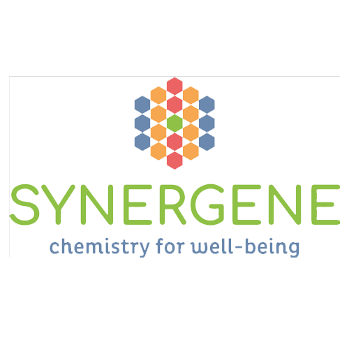 Synergne logo